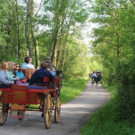 Killaran House Killarney