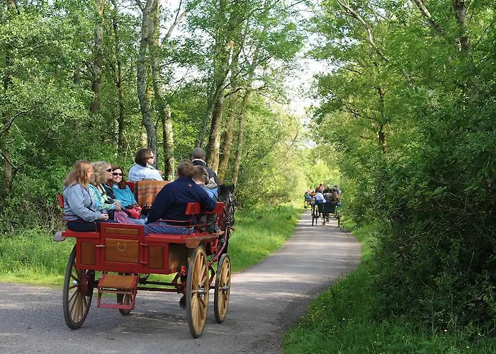 Killaran House 킬라니